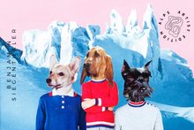 Alps Artist Edition: The Animal Conflict