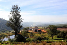 🟢 GREEN RUN- Brazil, Fazenda do Cruzeiro