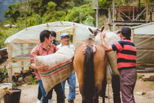 **New Micro-lot Colombia: Manos Juntas Micromill