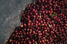 Colombia, Elias Roa (Finca Tamana)  -Grand Cru Reserve-