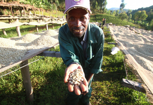 Burundi, Washing Station: Gakenke  -Grand Cru Reserve-
