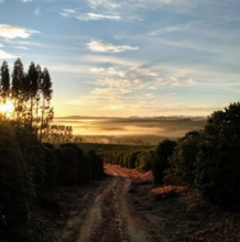 Brazil, Fazenda Mumbuca