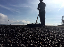 Brazil, Fazenda Mumbuca