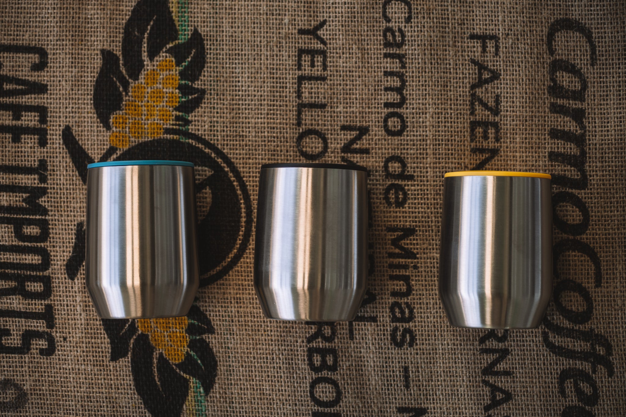 HARIO MIOLOVE Roestvrijstalen Mok – Dubbele Wand Houdt Drank Warm Of Koud, Blauw/groen